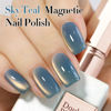 Picture of Double Rhythm 15ML Ice Glass Cat Eye Gel Polish with Magnet Holographic Glitter Shimmer Translucent Sheer Color Salon Soak Off Magnetic Nail at Home (SKy Teal-MC1132)