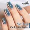 Picture of Double Rhythm 15ML Ice Glass Cat Eye Gel Polish with Magnet Holographic Glitter Shimmer Translucent Sheer Color Salon Soak Off Magnetic Nail at Home (SKy Teal-MC1132)