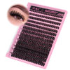 Picture of 280Pcs Wispy Individual Lashes DIY Eyelash Extensions 8-16MM Fluffy D Curl Lash Extensions Lash Clusters 80D Cluster Eyelashes DIY at Home by ALICE