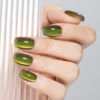 Picture of MAYCHAO 15ML Cat Eye Gel Nail Polish 1Pc Aurora Green Gel Polish with Magnet Soak off Holographic Magnetic Nail Polish for Nail Art Manicure Salon DIY at Home, 0.5 OZ