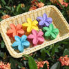 Picture of Sisiaipu Hawaiian Flower Hair Clips for Women 6 Pack Flower Hair Claw Clips Plumeria Claw Clips for Thin Hair Large Claw Clips for Thick Hair Beach Tropical Hair Accessories for Girls - Dopamine