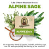Picture of Dr. Squatch Men's Natural Bar Soap Alpine Sage (10 Pack) - All Natural Bar Soap for Men - Smell like a Warm Mountain Breeze