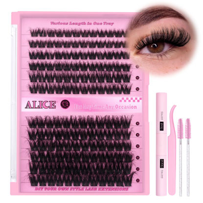 Picture of ALICE Lash Extension Kit Fluffy Volume Cluster Lashes Wispy 8-20MM D Curl Individual Lashes Eyelash Clusters Kit Lash Glue Bond and Seal Tweezers Diy Eyelash Extension Kit Self Application at Home