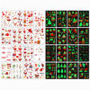 Picture of Awinmay luminous Christmas Temporary Tattoos for Kids - 240 Pieces Bulk Christmas Tattoos for Boys and Girls,Xmas Holiday Stickers Christmas Party Favor for Kids Stocking Stuffers and Gifts 16 Sheets