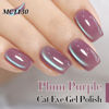 Picture of Double Rhythm 15ML Ice Glass Cat Eye Gel Polish with Magnet Holographic Glitter Shimmer Translucent Sheer Color Salon Soak Off Magnetic Nail at Home (Plum Purple-MC1130)