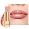 Picture of Oulac Matte Lipstick with Metallic Shine, Comfortable Creamy Texture, Smooth No Grainy Feeling, Vegan & Gluten Free, Full-Coverage Lip Colour 4.3g, Christmas Gifts for Women, GM09 Elysium