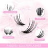 Picture of FADLASH DIY Cluster Lashes D Curl Wispy Individual Lashes DIY Eyelash Extension Natural Look Reusable Fluffy Cluster Eyelash Extensions Self Application at Home (40D-0.07D-12-18MIX)