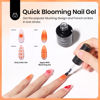 Picture of Beetles Nail Blooming Gel: 2 Pcs 15ml Clear Uv Led Blooming Gel Nail Polish for Spreading Effect Blossom Marble Natural Stone Watercolor Floral Print Soak off Nail Gel Diy Nail Art Design Manicure