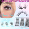 Picture of Lash Clusters Wispy Eyelash Clusters Natural C Curl Cluster Lashes zanlufly Wispy Individual Lashes 150Pcs Eyelash Extension 10 12 14MM DIY Lash Extensional Lash Clusters