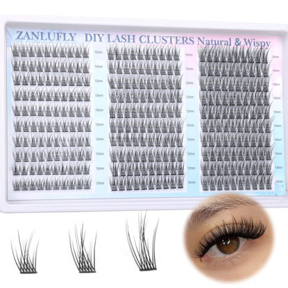 Picture of Lash Clusters Wispy Eyelash Clusters C Curl Individual Lashes zanlufly Natural 300Pcs Cluster Lashes Eyelash Extension 10 12 14MM DIY Lash Extension