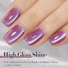 Picture of Double Rhythm 15ML Ice Glass Cat Eye Gel Polish with Magnet Holographic Glitter Shimmer Translucent Sheer Color Salon Soak Off Magnetic Nail at Home (Rose Violet-MC1131)