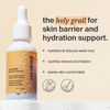 Picture of Cocokind Ceramide Barrier Serum, Hydrating Serum to Reduce Dryness, All Skin Types including Sensitive Skin, Fragrance Free, Cruelty Free, Jumbo Bottle, 2oz