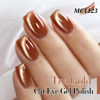 Picture of Double Rhythm 15ML Ice Glass Cat Eye Gel Polish with Magnet Holographic Glitter Shimmer Translucent Sheer Color Salon Soak Off Magnetic Nail at Home (Tea Gold-MC1123)