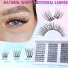 Picture of Lash Clusters Wispy Eyelash Clusters Natural CC Curl Cluster Lashes zanlufly Wispy Individual Lashes 180Pcs Eyelash Extension 10 12 14MM DIY Lash Extension