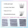 Picture of Lash Clusters Wispy Eyelash Clusters Natural CC Curl Cluster Lashes zanlufly Wispy Individual Lashes 180Pcs Eyelash Extension 10 12 14MM DIY Lash Extension