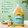 Picture of Yoken Castile Soap Liquid EWG Verified(1 Gallon, Unscented) Pure-Castile Liquid Soap for Body, Face, Hand, Pets, Laundry, Dish Soap and More - Made With Organic Oil, Vegan, Clean & Gentle, Versatile