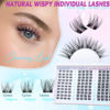 Picture of Lash Clusters Natural Eyelash Clusters D Curl Cluster Lashes zanlufly Wispy Individual Lashes Cluster Eyelash Extension 10 12 14MM DIY Lash Extension