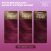 Picture of Clairol Bold & Bright Permanent Hair Dye, M5 Deepest Guava Hair Color, Pack of 1