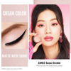 Picture of Oulac Matte Eyeshadow 3-in-1 Eyeshadow Nude Eye Primer&Eyeliner Highly Pigmented Waterproof Smudge-proof Long Lasting Wear Smooth&Blendable Formula for Natural Look,Vegan & Cruelty-Free,CM02