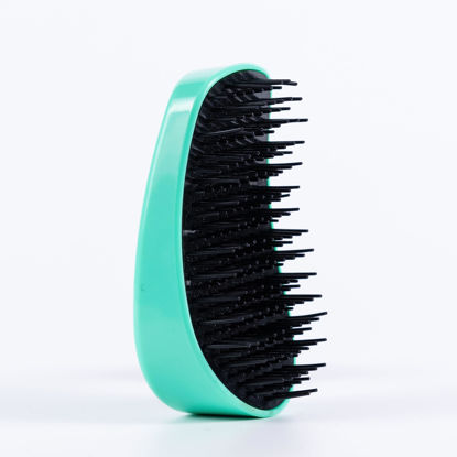 Picture of Amazon Basics Detangling Palm Brush For Adults and Kids, For All Hair Types Wet or Dry, Turquoise