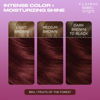 Picture of Clairol Bold & Bright Permanent Hair Dye, BR4 Fruits of the Forest Hair Color, Pack of 1