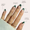 Picture of Glamnetic Press On Nails - Château | Semi-Transparent Dark Forest Green French Tip Short Almond False Nails, Reusable Stick On Fake Nails with Glue | Salon Quality | 15 Sizes - 30 Nail Kit