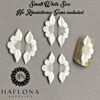 Picture of Set 32PCs Or 10Pcs 3D Sweet Season Poinettia (5 Petals) Flower Nail Art Charms Handmade by Acrylic Powder Design Acrylic Nail Art for Women Girls (Small White No Rhinestone/Gems-12Pcs)