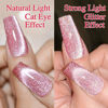 Picture of Double Rhythm 15ML Ice Glass Cat Eye Gel Polish with Magnet Holographic Glitter Shimmer Translucent Sheer Color Salon Soak Off Magnetic Nail at Home (Skin Pink-MC1065)