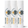 Picture of Dr. Dave's Primal Essence Moisturizing Tallow Lip Balm - Nourishing and Soothing Grass Fed Beef Tallow with Organic Coconut Oil, Beeswax, and Vitamin E - Unscented Lip Balm - 3-Pack