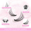 Picture of Lash Clusters Extensions Large Tray 20D Long Individual Lashes Mixed Tray Black Mink DIY Eyelash Extension and Under Bottom Eyelashes Professional Makeup (20D-0.07-D, 8-16mm)