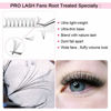 Picture of Premade Volume Eyelash Extensions 8D-C-0.07-15 Short Stem Premade Fans Eyelash Extensions 9 to 20 mm Volume Lash Extensions .07 .10 Pre made Lash Fans C D Curl (8D-C-0.07,15mm)