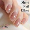 Picture of Double Rhythm Translucent Gel Polish Sheer Neutral Natural Light Milky Same Color Same Bottle 15ML Jelly UV Nail Polish Nail Art DIY at Home (Dark Nude-A1493)