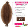 Picture of Afro Twist Hair 24 Inch 3 Packs, Springy Afro Twist Hair Pre Fluffed Spring Twist Hair Pre Stretched Wrapping Hair for Soft Locs Hair Extensions (24 Inch (Pack of 3), 30#)