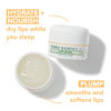 Picture of Mario Badescu Lip Mask with Coconut and Mango for All Skin Types, Overnight Lip Treatment Enriched With Skin Softening Coconut Oil, Sunflower Seed Oil and Hydrating Shea Butter, 0.5 Ounces