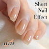 Picture of Double Rhythm Translucent Gel Polish Sheer Neutral Natural Light Milky Same Color Same Bottle 15ML Jelly UV Nail Polish Nail Art DIY at Home (Translucent Nude-A1424)