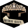 Picture of Gold Crown for Women Birthday Queen Sash & Rhinestone Tiara Set Birthday Decoration Rhinestone Headband Glitter Crystal Hair Accessories for Party(Gold1&Sash)