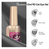 Picture of Bevimee Cat Eye Gel Nail Polish 12ML 9D Chameleon Cateye Magnetic Nail Polish Gel Holographic Silver Cat Eye Gel with Magnet Stick Varnish Gel Soak off UV Nail Art Gel Manicure Set 1PC