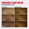 Picture of Revlon ColorSilk Tone + Gloss + Care Demi Permanent Hair Color, Hair Dye with Leave in Scalp and Hair Serum, 2x Shinier, 4x Stronger, 6G Light Golden Brown, 4.5 fl. oz