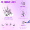 Picture of Clear Band Lash Clusters Wispy Short C Curl Eyelash Clusters 10-11mm Individual Eyelashes Natural Cluster Eyelash Extensions Natural Looking Cluster Lashes by Geeneiya(Clear Band,10-11MM)