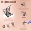 Picture of Medium Lash Clusters Short Wispy C Curl Eyelash Clusters 12-16MM Individual Eyelashes Natural Cluster Eyelash Extensions Natural Looking Cluster Lashes by Geeneiya (C Curl,12-14-16)