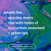 Picture of Method Deodorant, Daily Zen, Cucumber, Seaweed + Green Tea notes, 24 Hour Odor Protection, 2.65 oz
