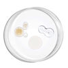 Picture of The Ordinary The Bright Set, 3-Step Regimen for Radiant, Even Skin Tone