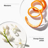 Picture of Clinique My Happy Fragrance Spray, Baby Bouquet | Notes of Bright Mandarin + Delicate Orange Flower, Mini Travel Size, 0.5 Fl Oz