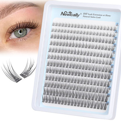 Picture of Natural Lash Clusters DIY Lash Extension Wispy Eyelash Clusters C Curl Cluster Eyelash Extension 10-14MM Individual Lashes Eyelash Extension Faux Mink Lash Clusters by Newcally