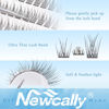 Picture of Natural Lash Clusters DIY Lash Extension Wispy Eyelash Clusters C Curl Cluster Eyelash Extension 10-14MM Individual Lashes Eyelash Extension Faux Mink Lash Clusters by Newcally