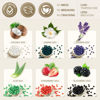 Picture of Lifestance Wax Beads Set, 6 Kinds of Waxing Beads, Hard Wax Beans with 44 Items, Perfect for Any Wax Warmers, Wax Beads for Hair Removal for Full Body Bikini Brazilian Underarm Eyebrow, Face Legs