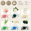 Picture of Lifestance Wax Beads Set, 6 Kinds of Waxing Beads, Hard Wax Beans with 44 Items, Perfect for Any Wax Warmers, Wax Beads for Hair Removal for Full Body Bikini Armpit Underarm Eyebrow Face Leg