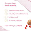 Picture of Dove Scrub Pomegranate & Shea Butter 15 Oz