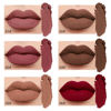 Picture of evpct 6Pcs Dark Light Nude Brown Matte Matt Liquid Lipstick Lip Gloss Glossy Set for Black Women, 24 Hour Brown Mauve Red Maroon Silky Velvet Lipstick Lip Liner set labiales matte larga duracion 24