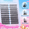 Picture of Manga Lash Clusters Kit Natural Lash Extension Kit Wispy Eyelash Extension Kit Soft Eyelash Clusters Anime Individual Lashes Kit Cluster Eyelash Extensions with Bond and Seal and Tweezers TNFVLONEINS